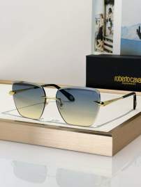 Picture of Roberto Cavalli Sunglasses _SKUfw79279457fw